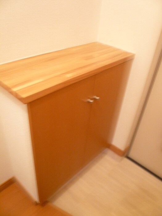 物件内観写真11　(靴箱)