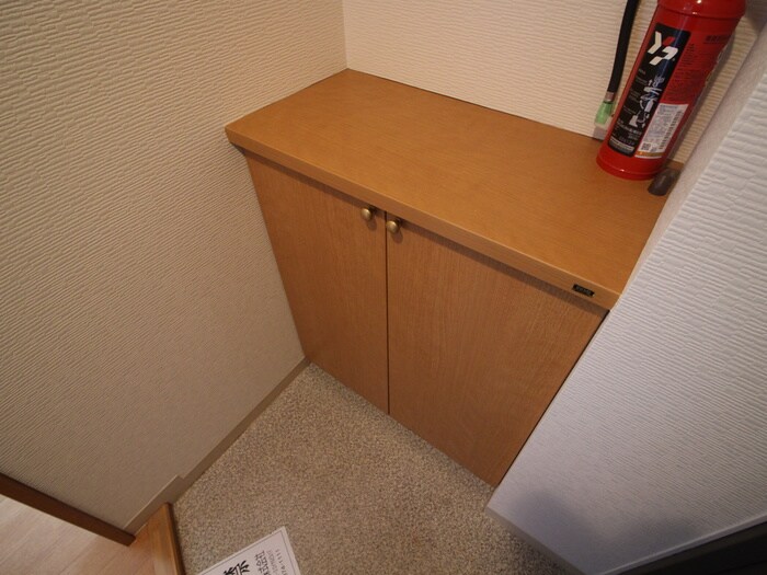 物件内観写真19　(靴箱)