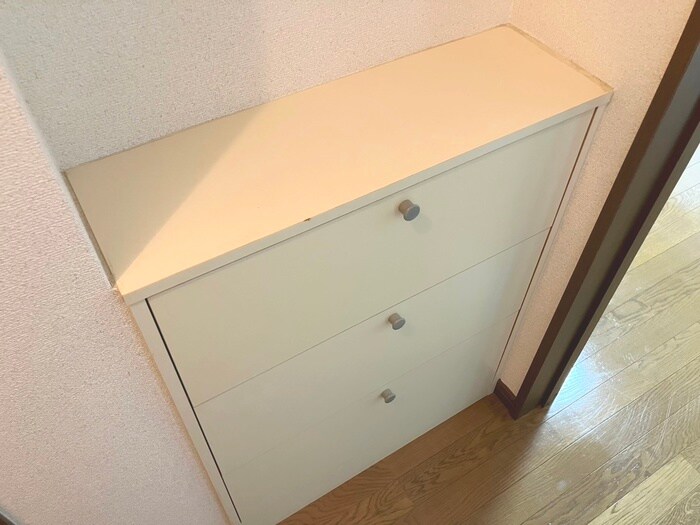 物件内観写真21　(靴箱)