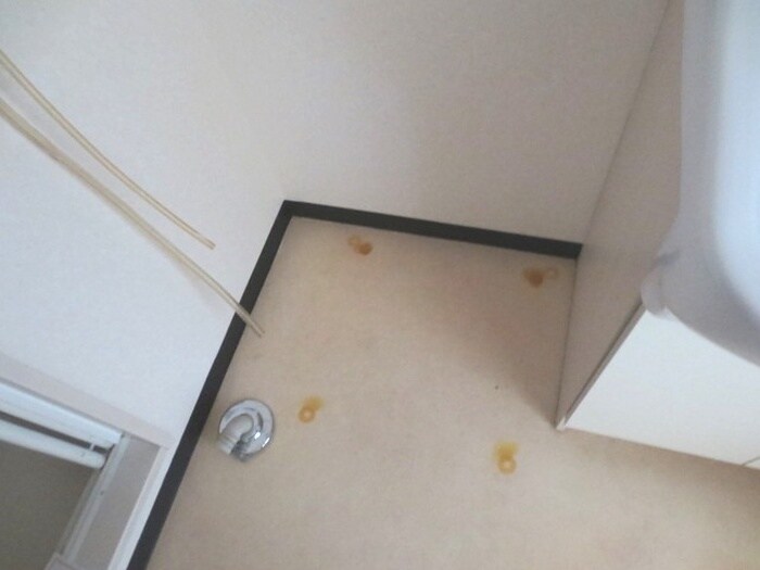 物件内観写真16　(洗濯機置場)