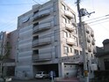 ティアラＮ１７