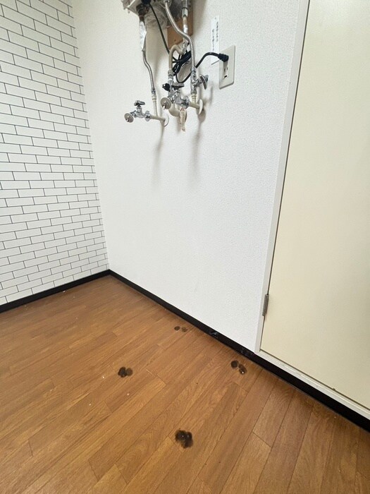 物件内観写真19　(洗濯機置場)