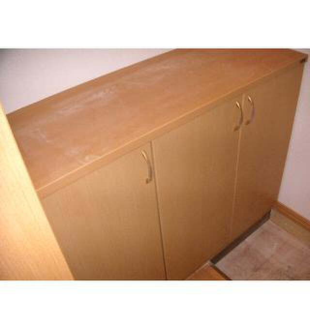 物件内観写真5　(靴箱)