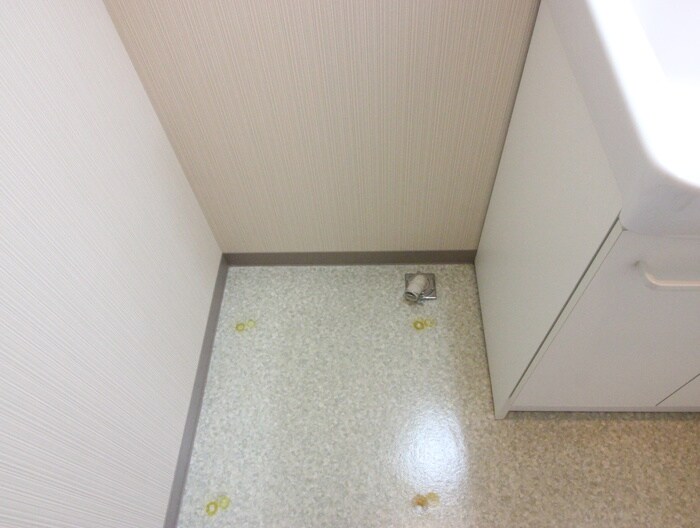 物件内観写真18　(洗濯機置場)