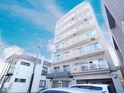エルスイ－ト４．６