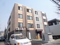アルキオーネ菊水