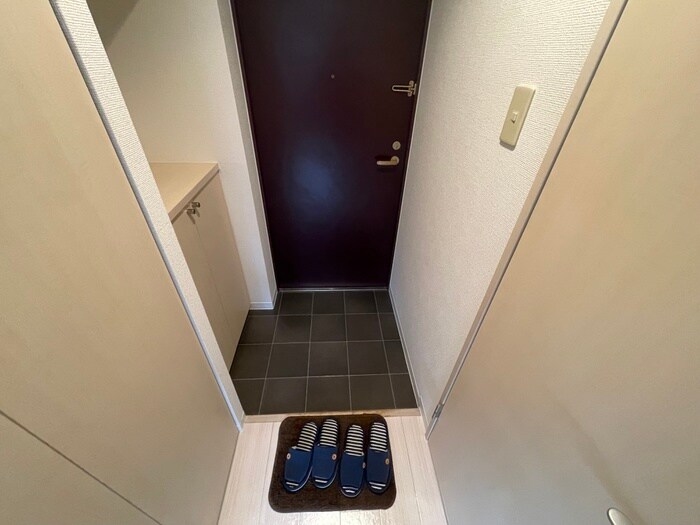 物件内観写真19　(玄関)