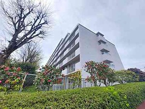 コ－プ野村花壇Ｂ棟(503)外観写真