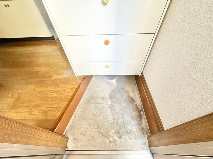 物件内観写真19　(玄関)