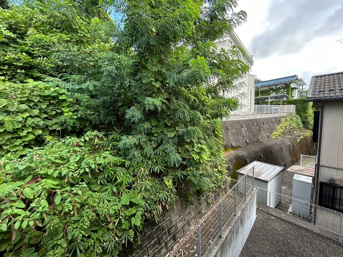 物件内観写真21　(室内からの展望)