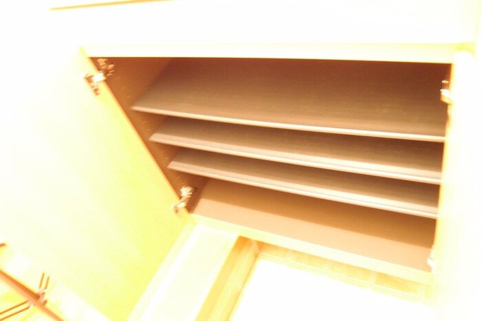 物件内観写真17　(靴箱)