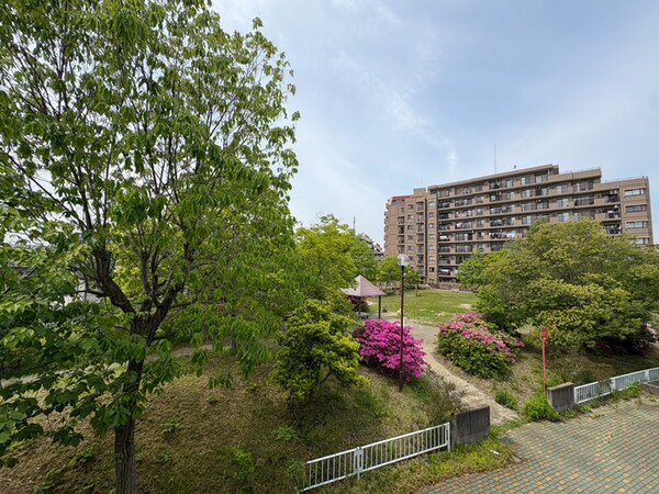 室内からの展望