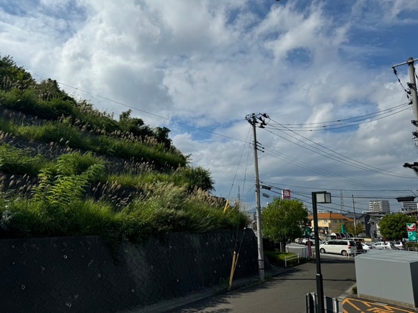 室内からの展望