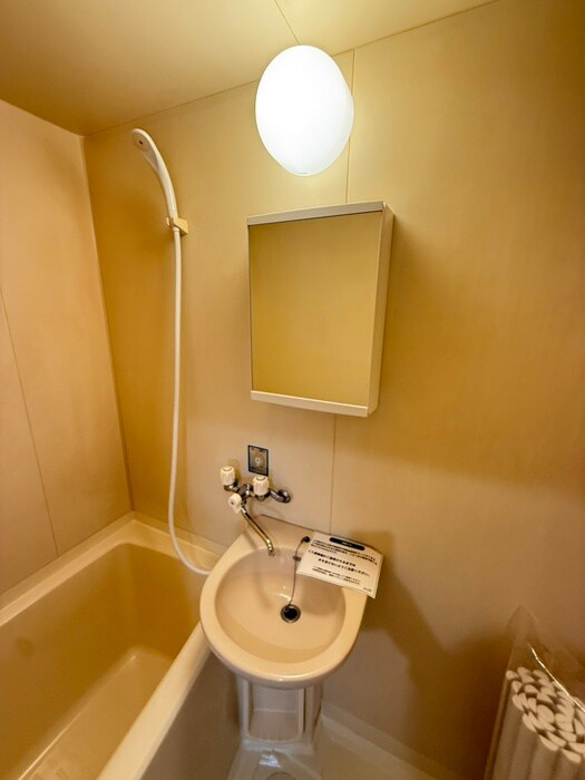 物件内観写真9　(洗面)