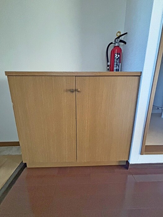 物件内観写真21　(靴箱)