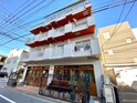 ｾﾞﾙｺﾊﾞ上杉