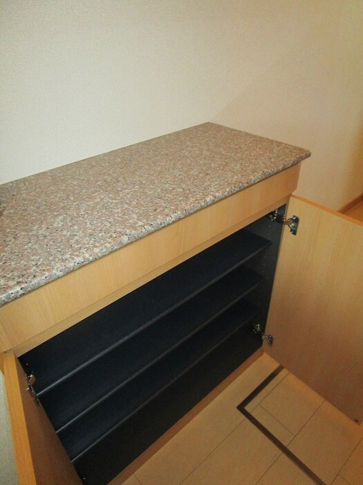 物件内観写真19　(靴箱)