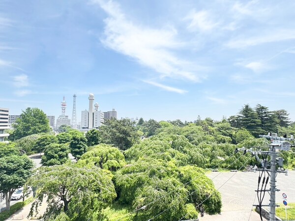 室内からの展望