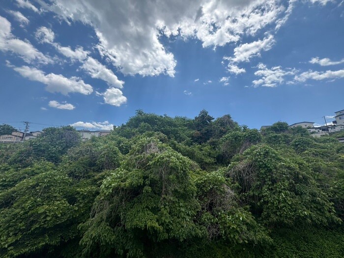 物件内観写真17　(室内からの展望)
