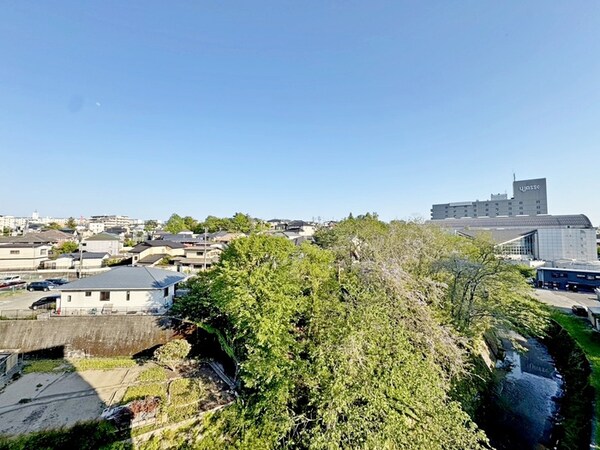 室内からの展望