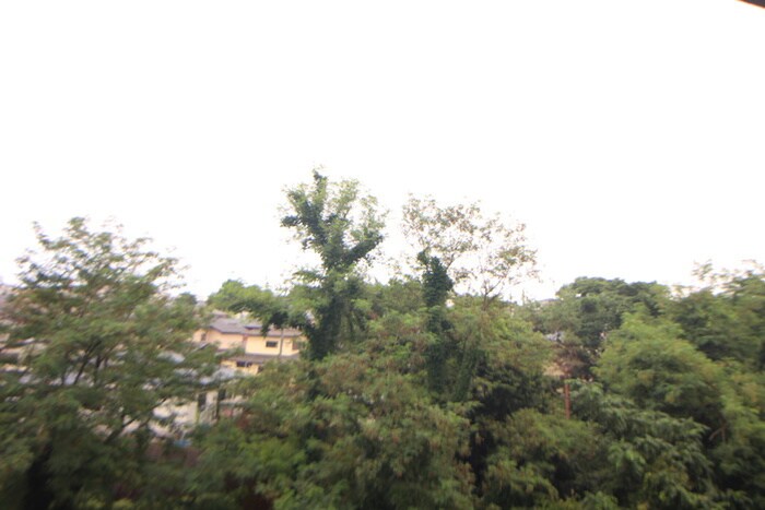 物件内観写真21　(室内からの展望)