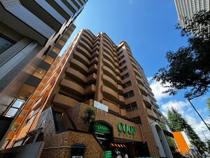 ﾗｲｵﾝｽﾞﾏﾝｼｮﾝ晩翠通(1008)外観写真