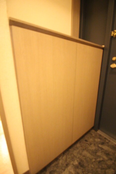物件内観写真8　(靴箱)