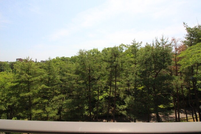 物件内観写真22　(室内からの展望)