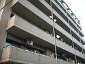ﾗｲｵﾝｽﾞﾏﾝｼｮﾝ北六番丁(503)