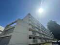 コ－ポラス島田