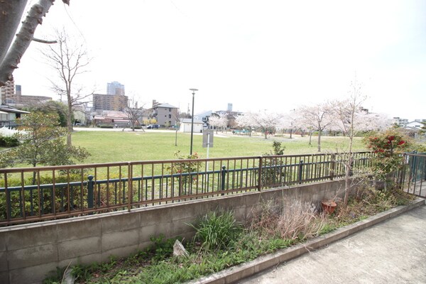 室内からの展望