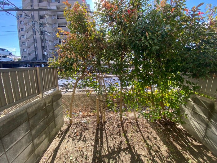 物件内観写真12　(室内からの展望)