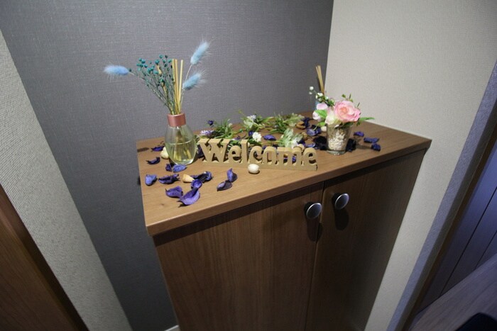 物件内観写真19　(玄関)