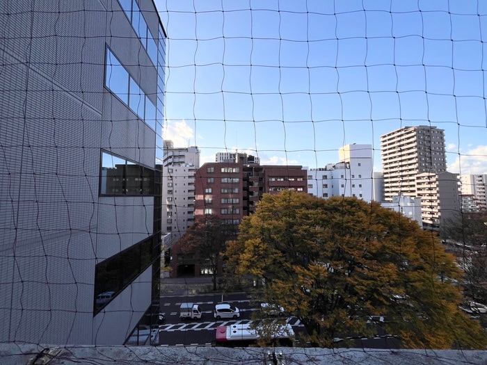 物件内観写真22　(室内からの展望)