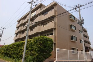 ダイアパレス泉崎(403)外観写真