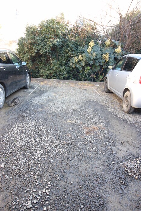 物件外観写真5　(駐車場)