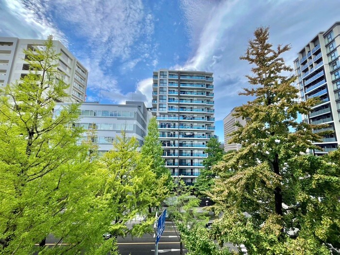 物件内観写真21　(室内からの展望)