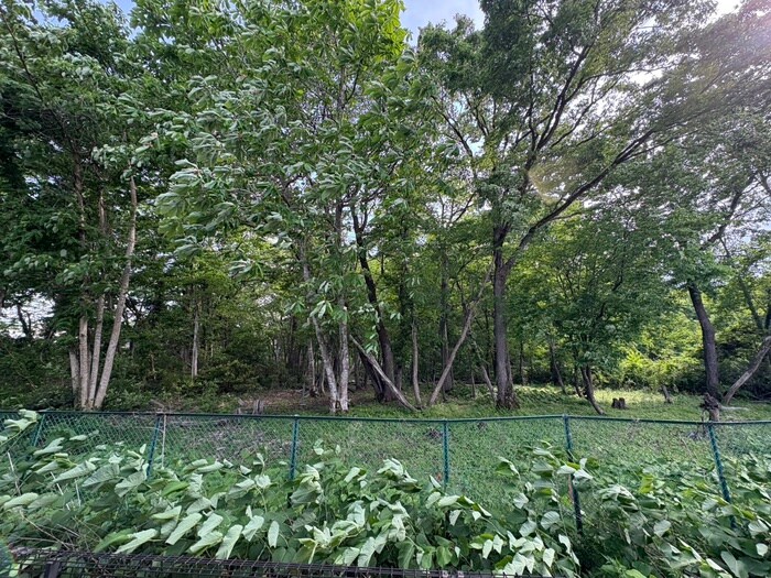 物件内観写真22　(室内からの展望)