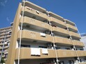 Hause・A・中倉