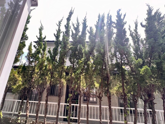 物件内観写真22　(室内からの展望)