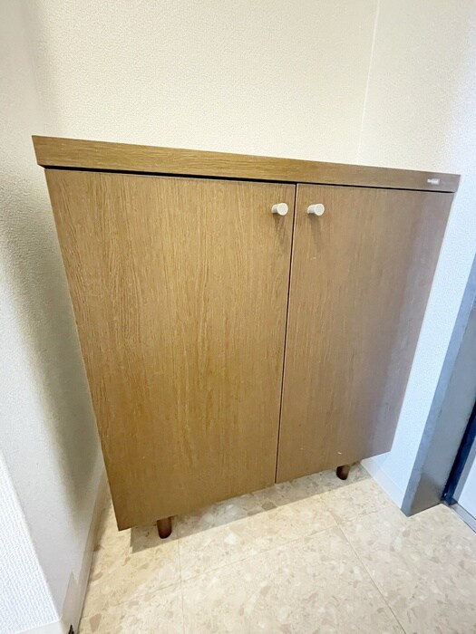 物件内観写真21　(靴箱)