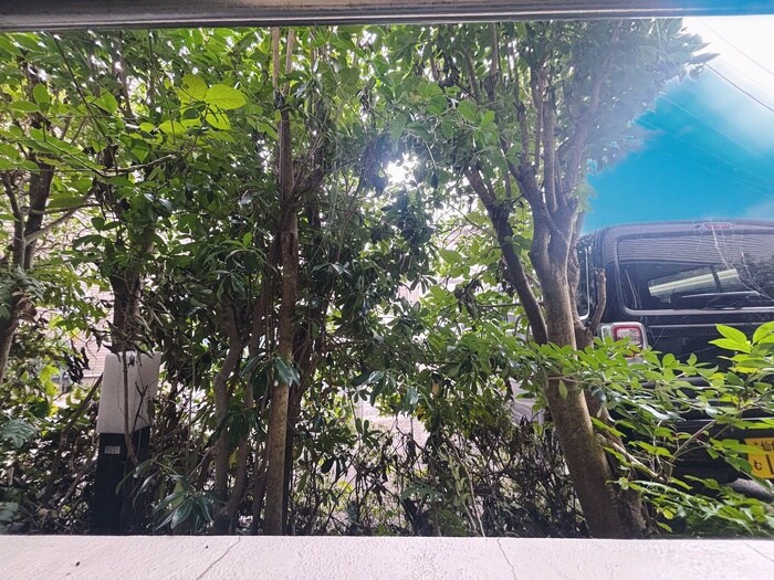 物件内観写真22　(室内からの展望)