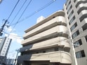 サンクレスト・ベア