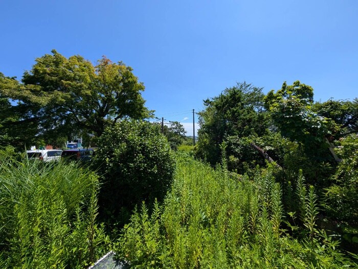 物件内観写真16　(室内からの展望)