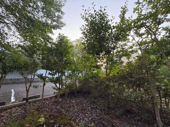 物件内観写真15　(室内からの展望)