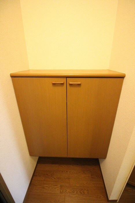 物件内観写真15　(靴箱)
