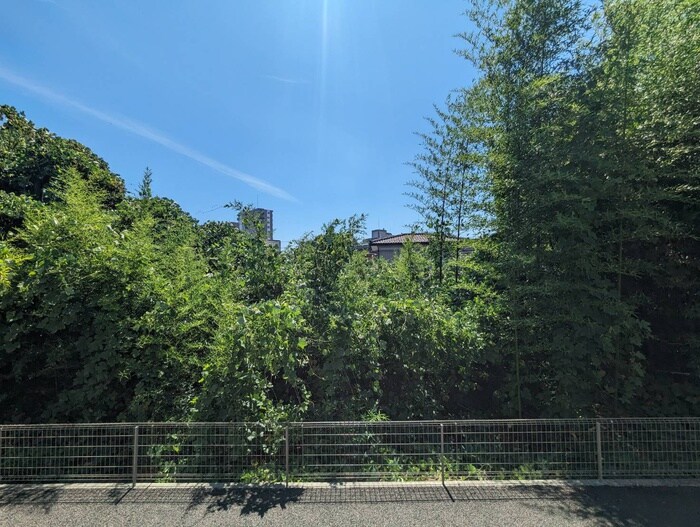 物件内観写真16　(室内からの展望)