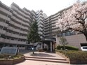 ﾗｲｵﾝｽﾞﾏﾝｼｮﾝ山手町(510)