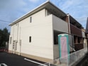 カモミールⅡ