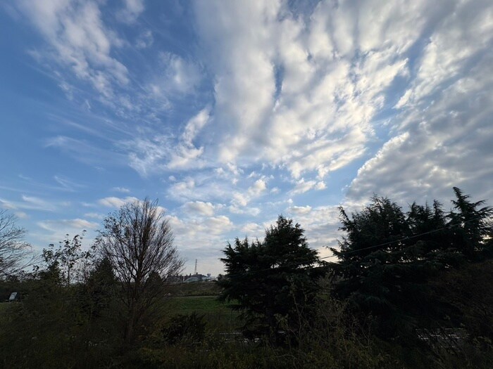 物件内観写真20　(室内からの展望)